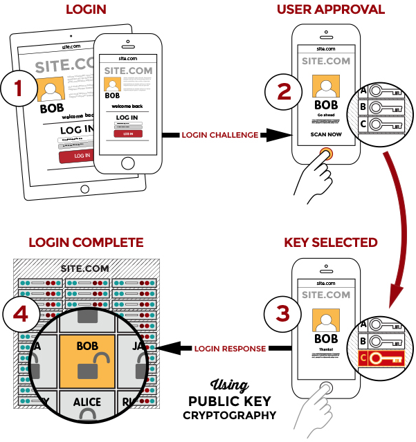 A graphic depicting the authentication process used in the original FIDO UAF standard.