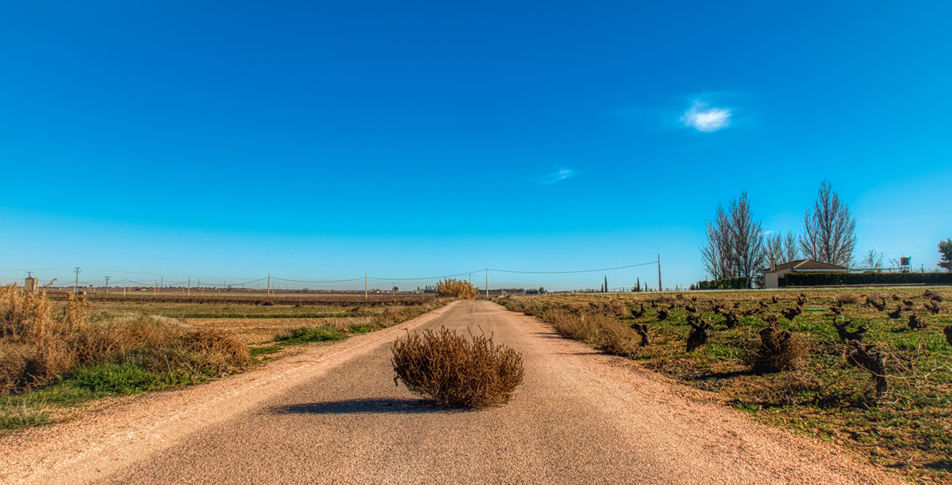 Tumbleweed...